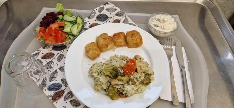 Kibbeling mit Gemüse-Reis